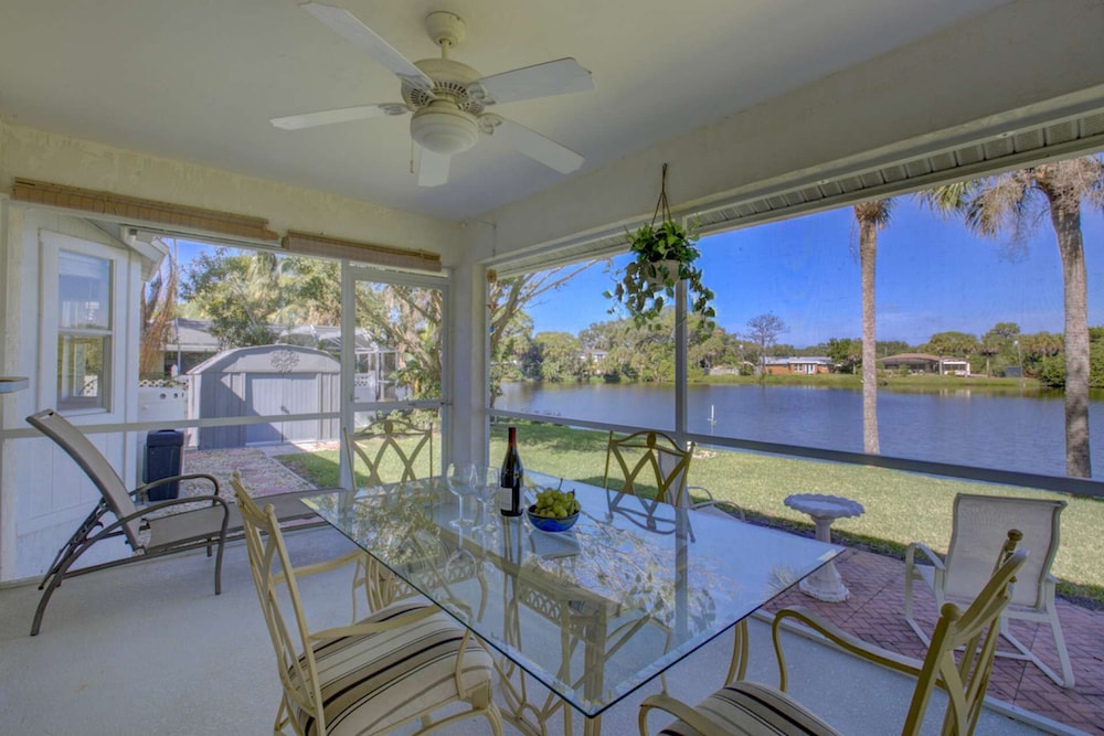 Smiling Dolphin in Venice, United States