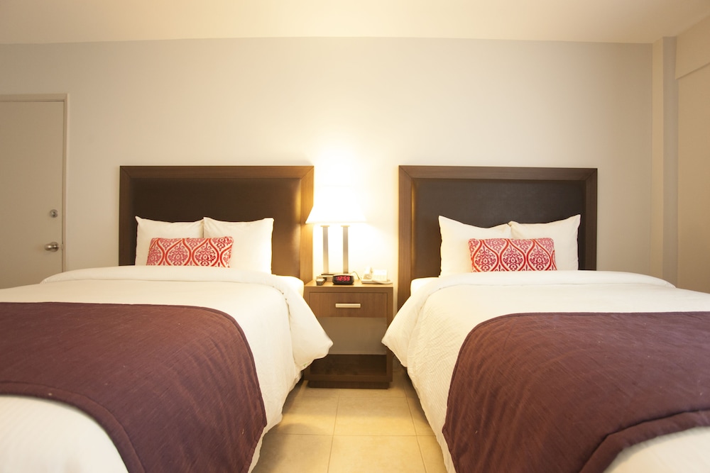 Collins Hotel - photo 11