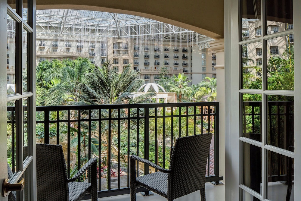 Gaylord Palms Resort & Convention Center - photo 16