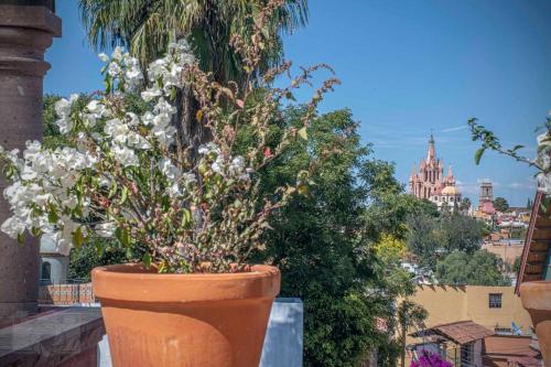 Spacious Centro Gem Garage Jacuzzi Near Rosewood in San Miguel De Allende, Mexico