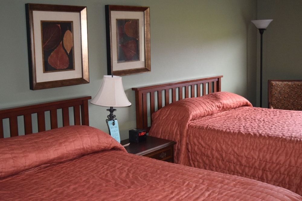 Cianci's Motel and Suites - photo 11