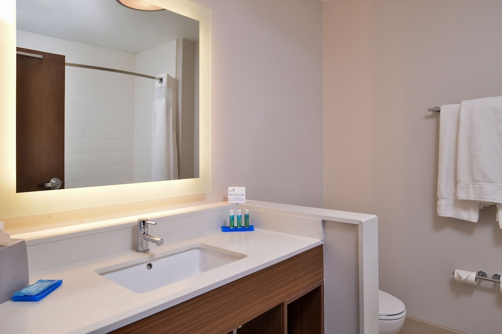 Holiday Inn Express & Suites Van Horn by IHG - photo 28
