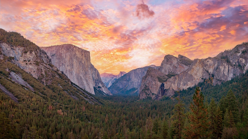 Under Canvas Yosemite - photo 20