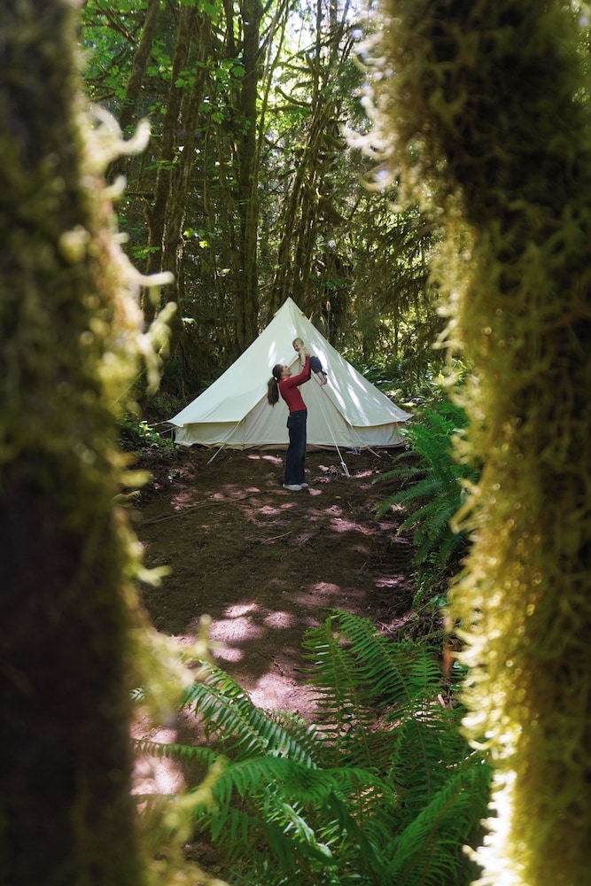 Olympic Glamping - photo 17