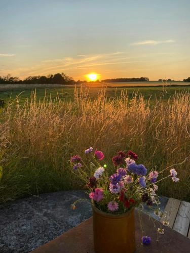 Countryside Estate By Almindingen Bornholm in Unknown City, Denmark