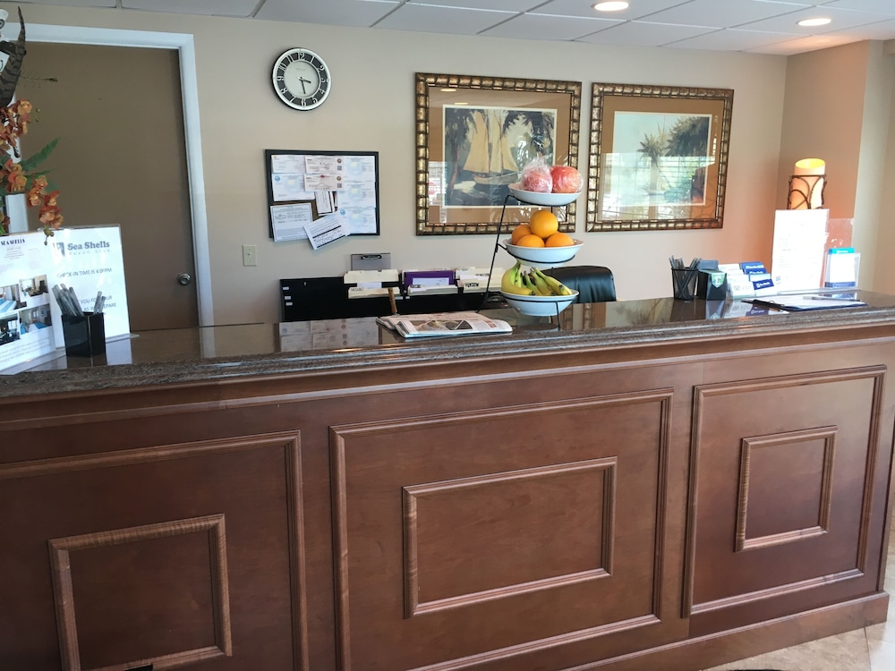 Sea Shells Beach Club - photo 4