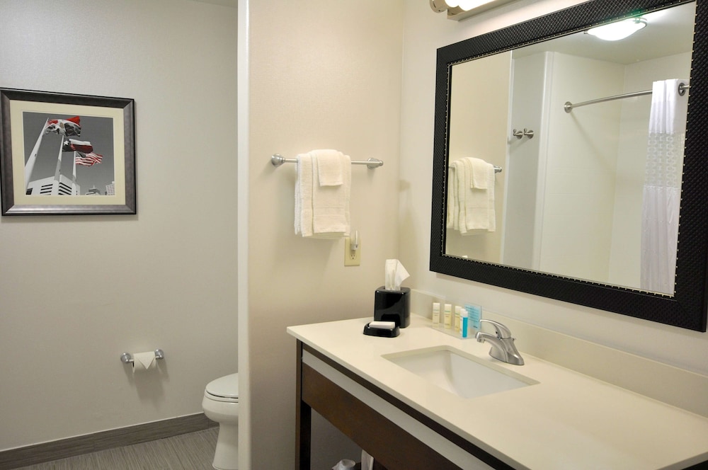 Hampton Inn & Suites Hutto Austin - photo 29