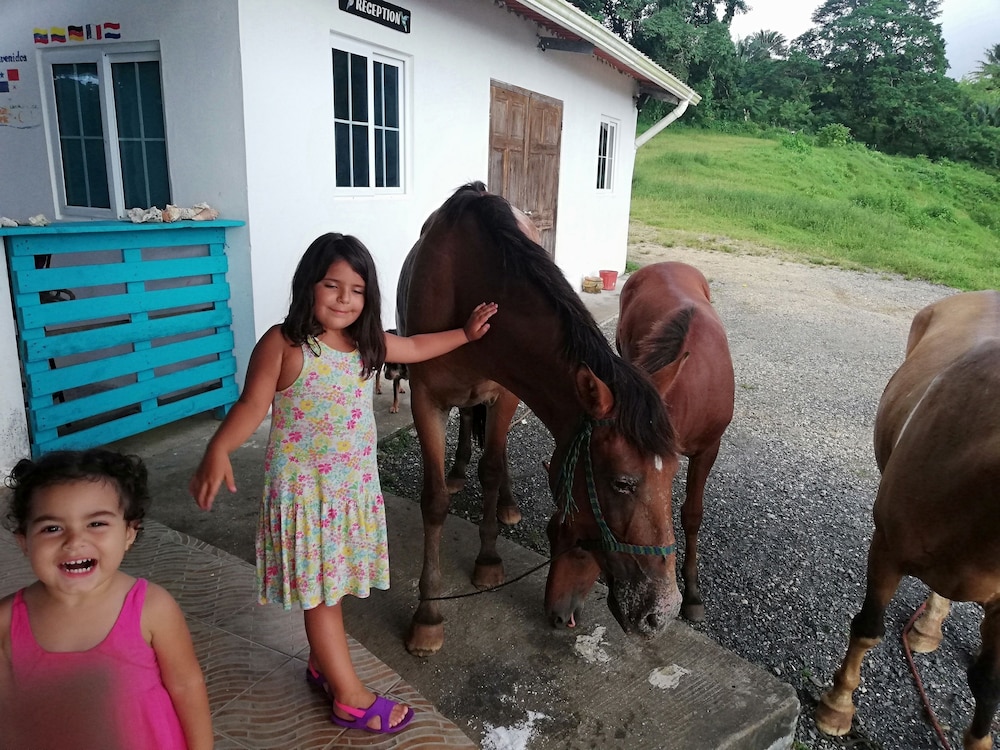 Rancho Juancho — Portobelo — photo 2