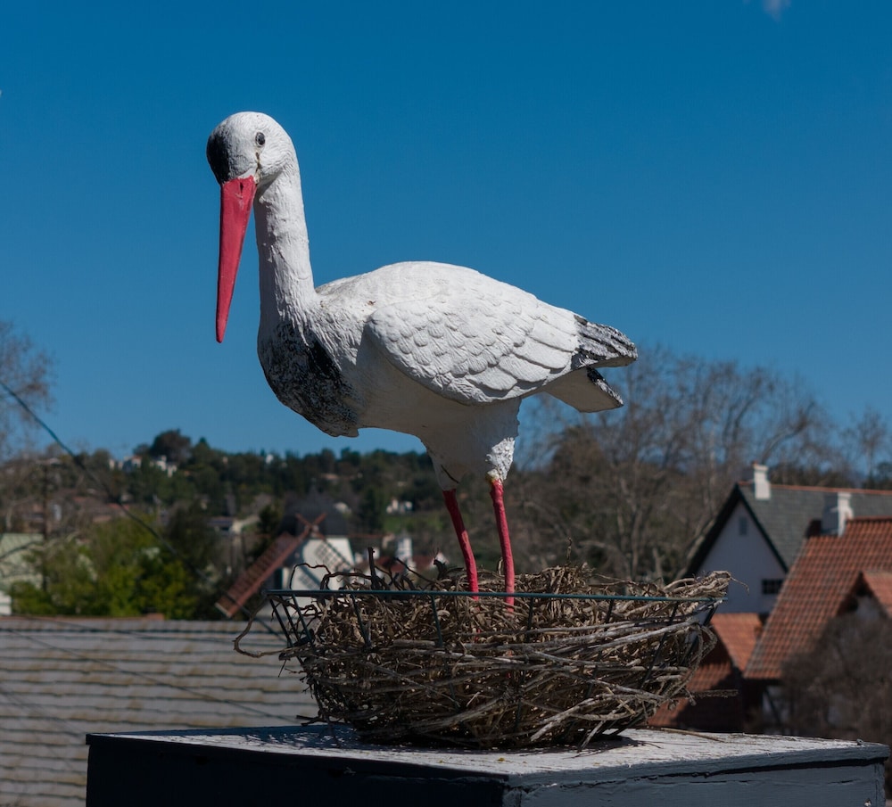 Solvang Inn and Cottages - photo 45