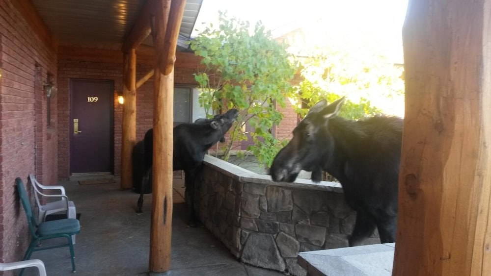 Sundance Motel - photo 22