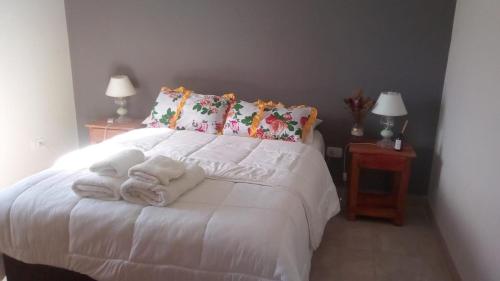 Casimiro Casa de Campo Guest’s house — Pellegrini — photo 4