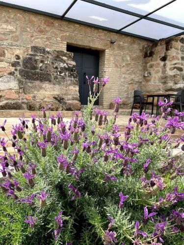 La Bodega - carbon neutral hotel in Andujar