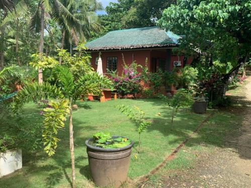 Blue Raven Resort in Anda, Philippines