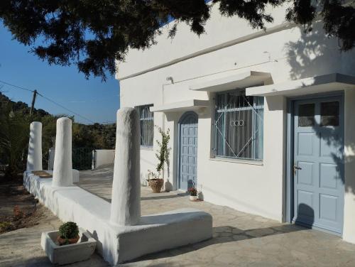 White Cat - carbon neutral hotel in Unknown City
