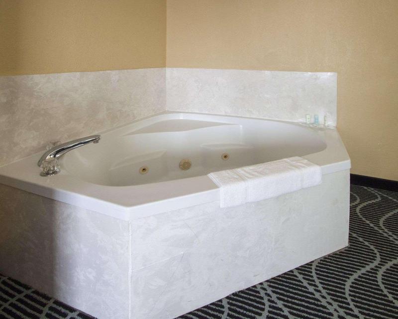 Comfort Suites Lake Ray Hubbard - photo 3