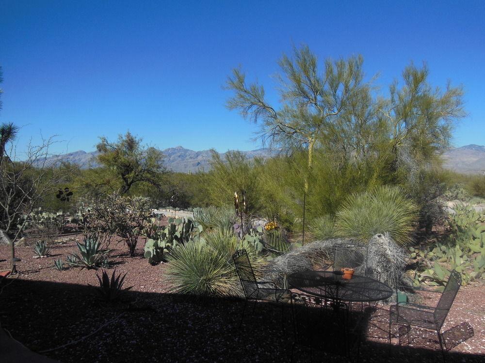 The SunCatcher Fine Country Inn in Tucson, United States