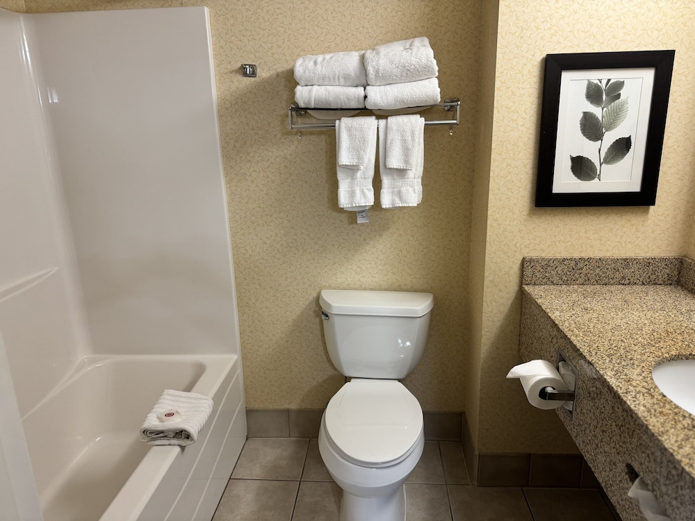 Comfort Inn & Suites St. Paul Northeast - photo 32