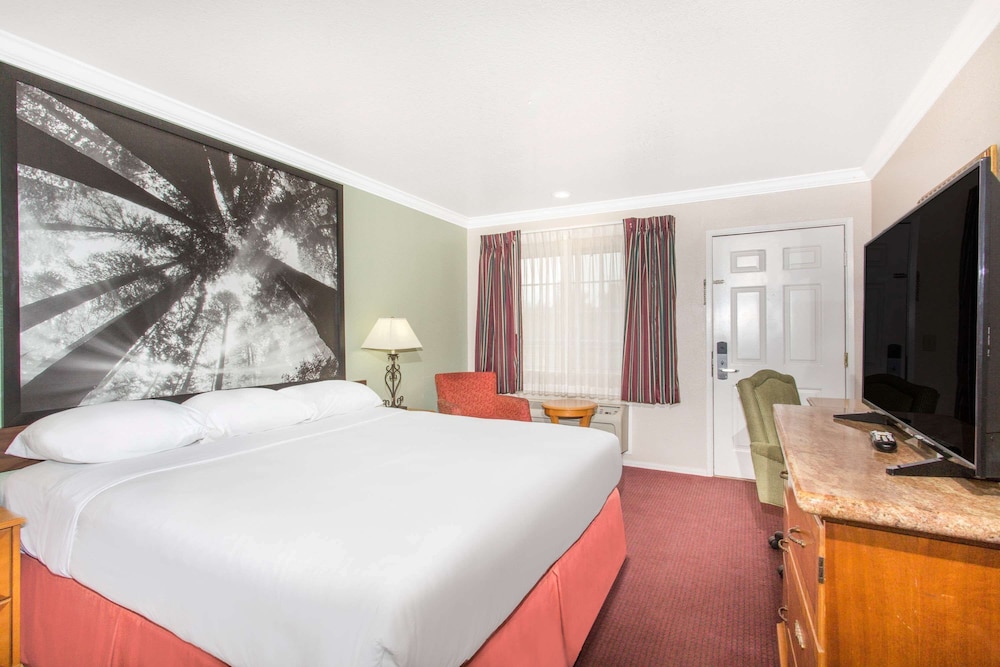 Upper Lake Inn and Suites - photo 6