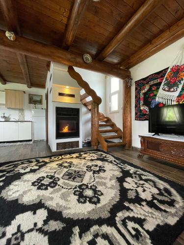 Cabana Merisorului in Borsa, Romania