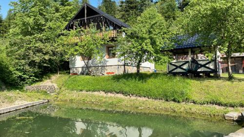 Elizabeth in Unknown City, Ukraine