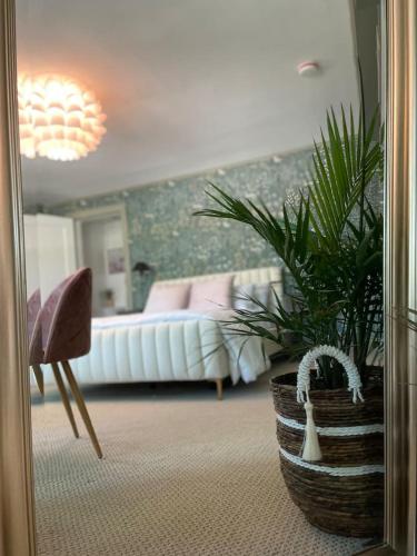 Buttonwood Boutique Hotel - photo 57