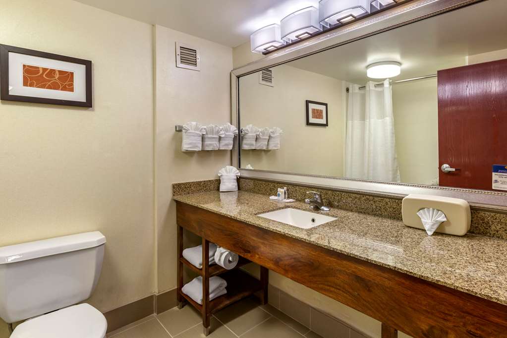 Comfort Suites Manassas Battlefield Park - photo 27