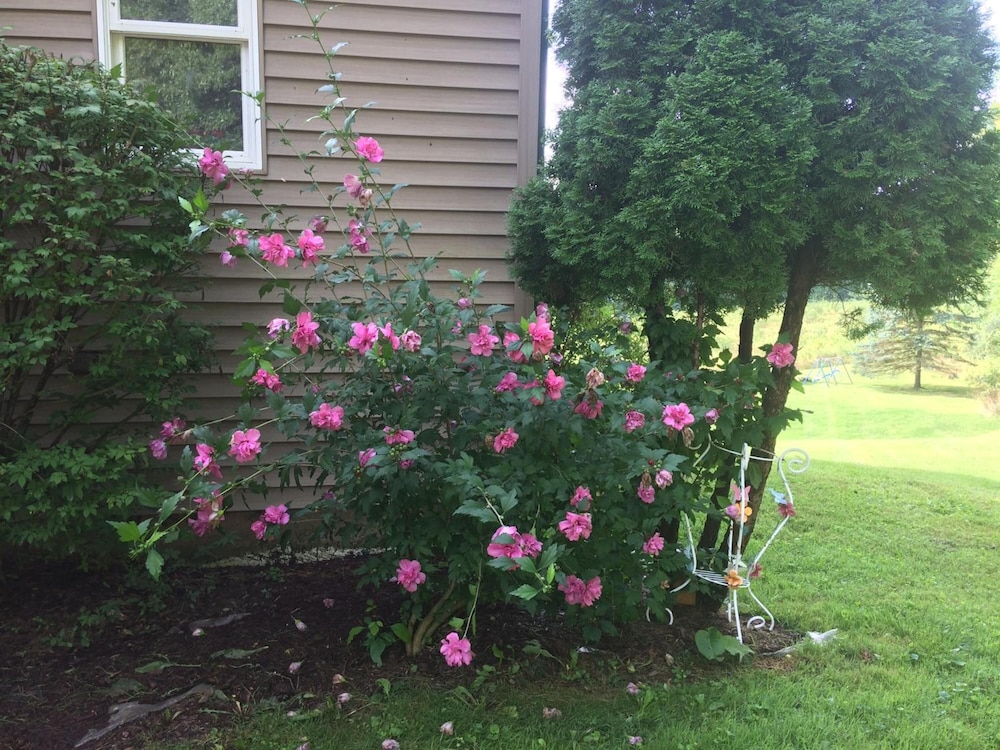 Spruce Hill Inn and Cottages - photo 34