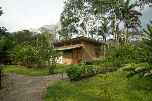 Ecotone Manu Bio Lodge All Inclusive in Pillcopata, Peru