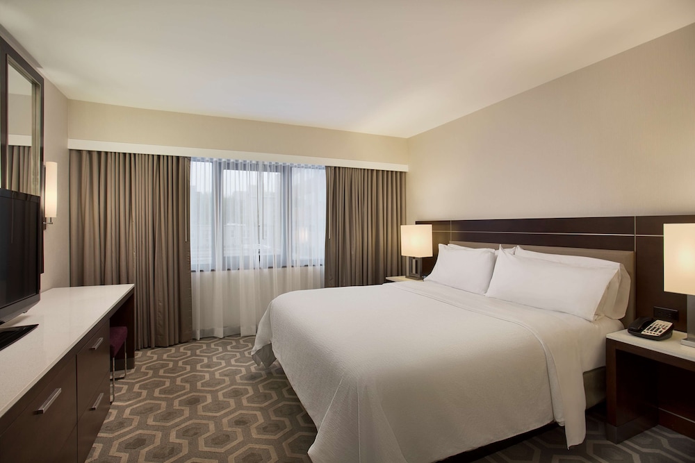 Embassy Suites by Hilton Washington D.C. Georgetown - photo 12