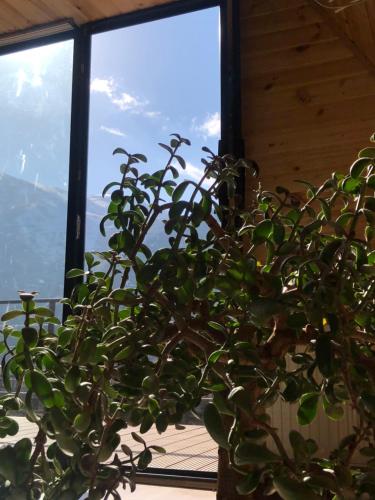 Alagi Cottage Kazbegi