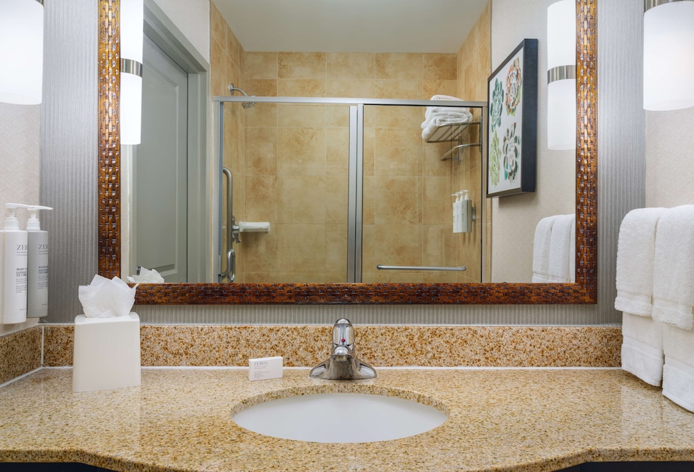 Hilton Garden Inn El Paso Airport - photo 16