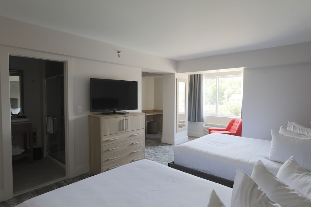 Lake Placid Inn Boutique Hotel - photo 5