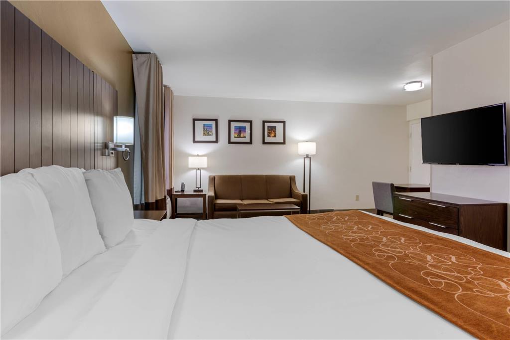 Comfort Suites Tucson near Sabino Canyon - photo 17