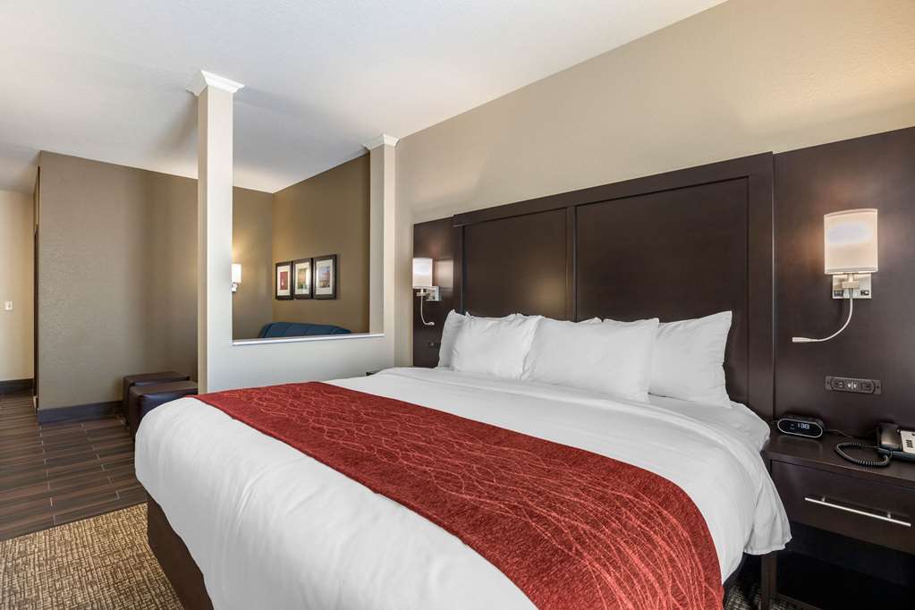 Comfort Inn & Suites Cedar Rapids CID Eastern Iowa Airport - photo 29
