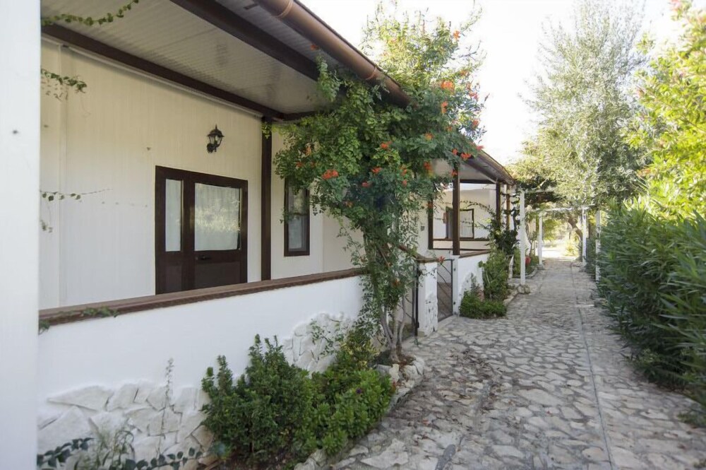 Da Antonino in Mattinata, Italy