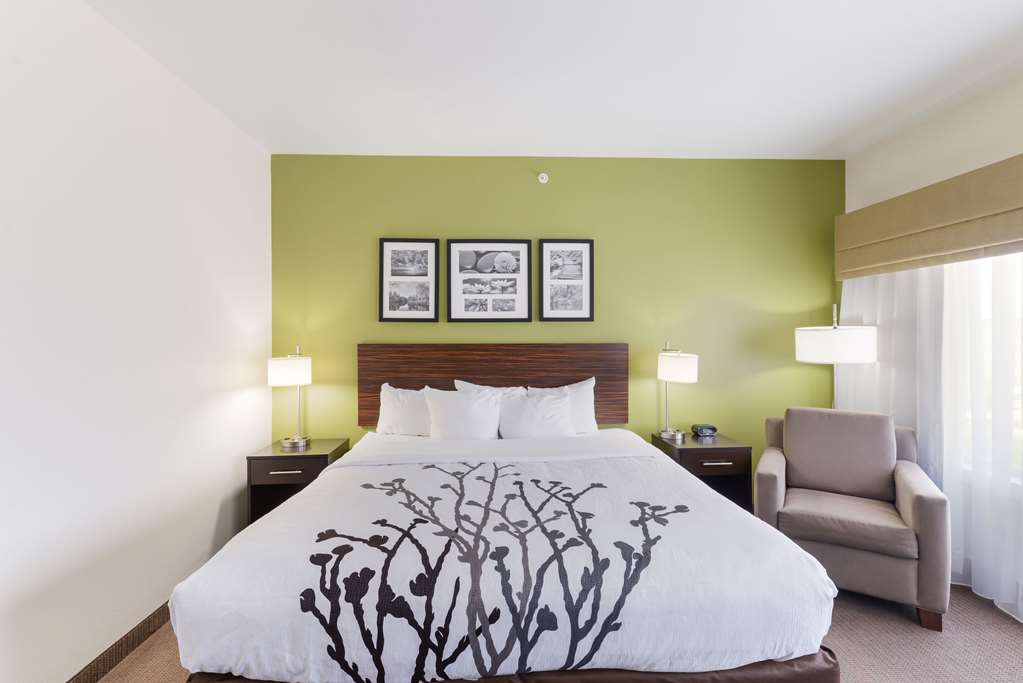 Sleep Inn & Suites Midland West - photo 9