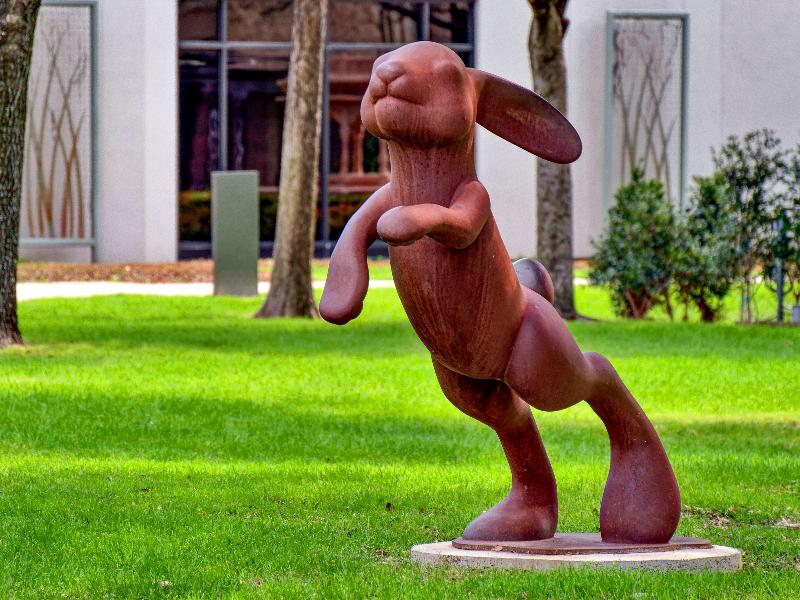 Hilton Anatole - photo 62