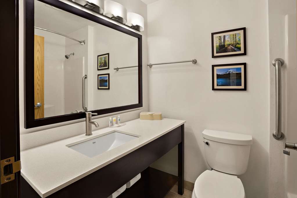 Comfort Inn Lacey Olympia - photo 6