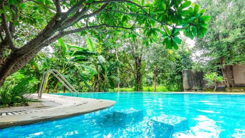 Mahua Vann Pench in Unknown City, India