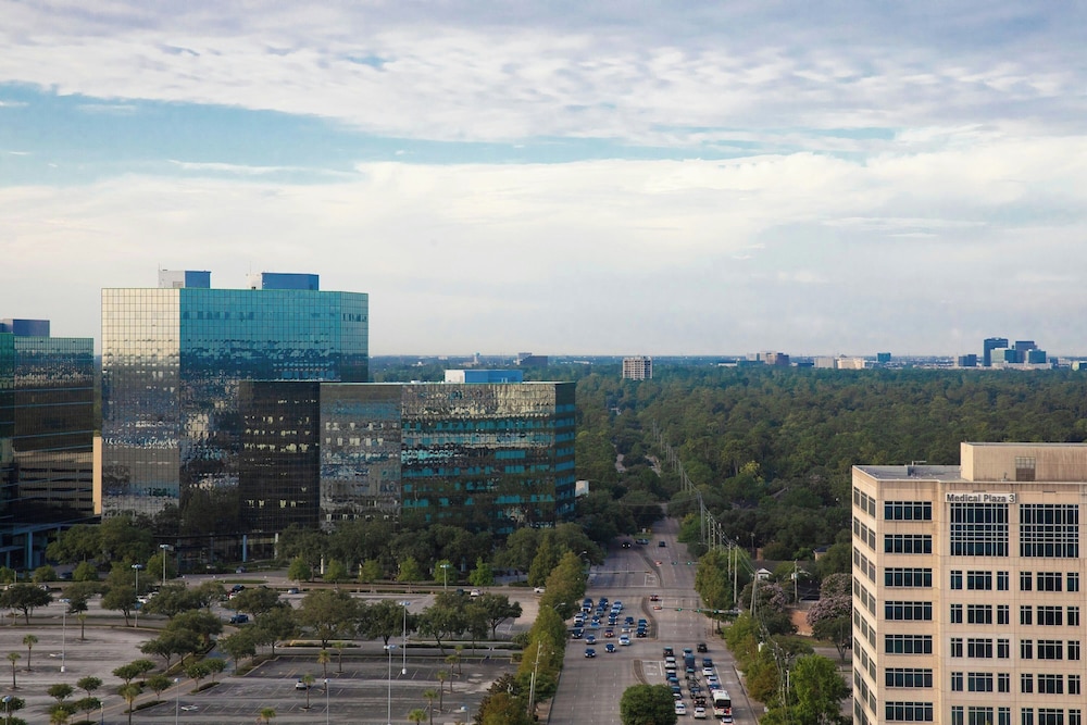 The Westin Houston Memorial City - photo 76