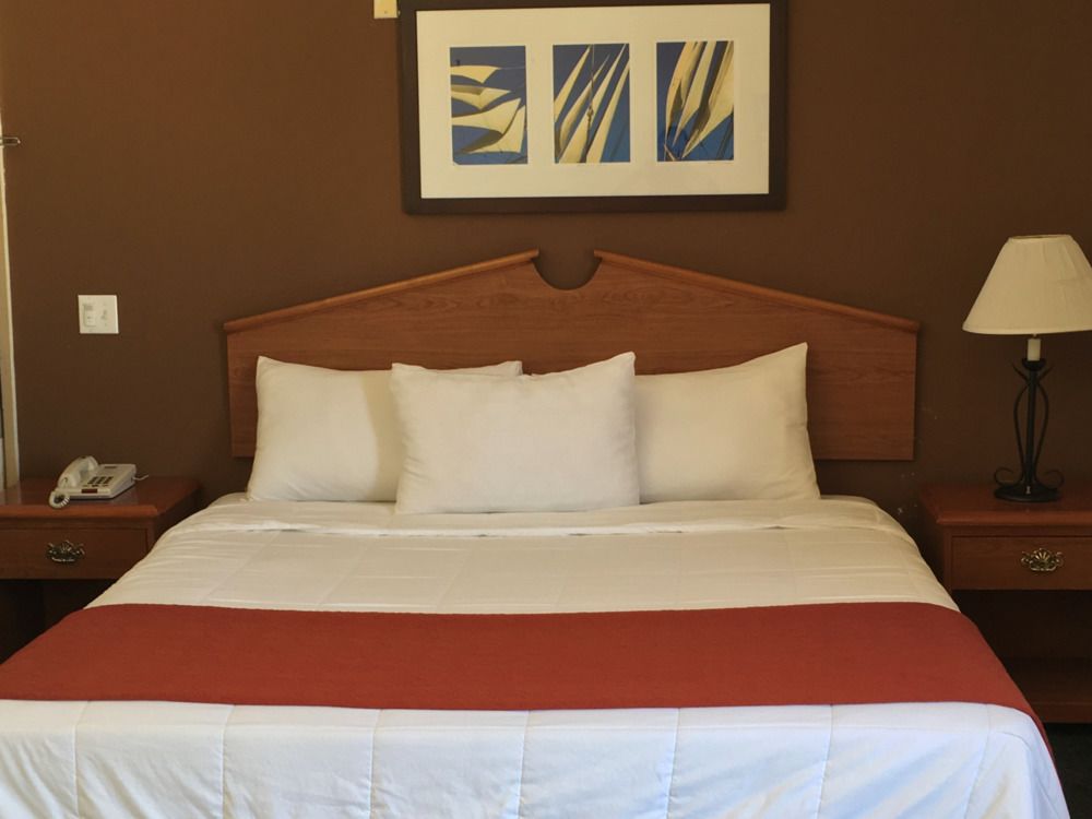 Portofino Beach Inn - photo 17