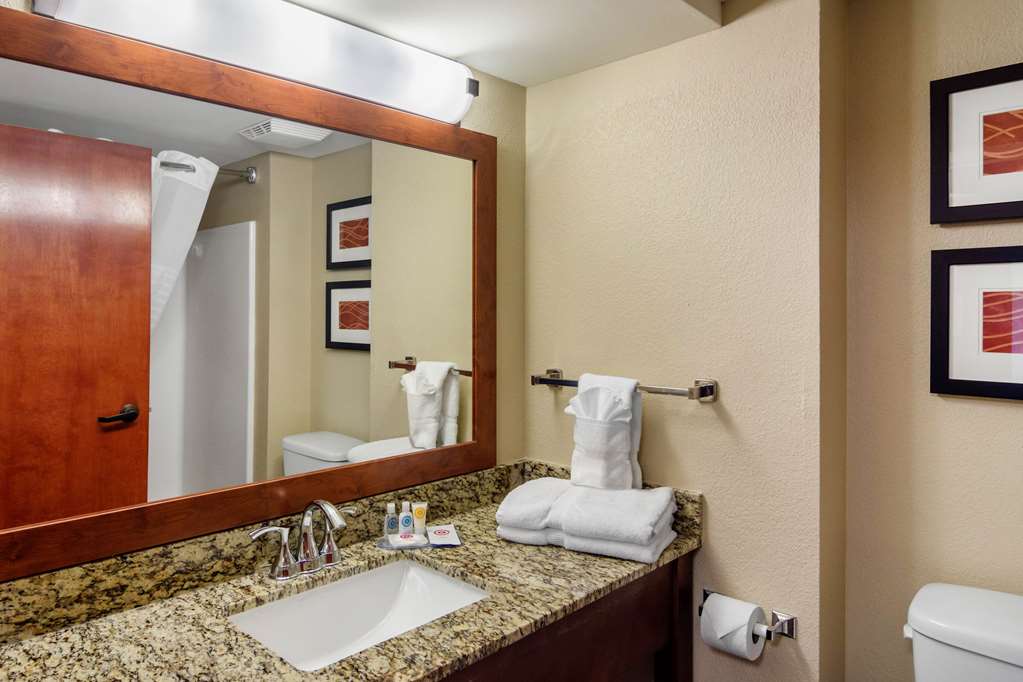 Comfort Inn & Suites LaGrange East - photo 17