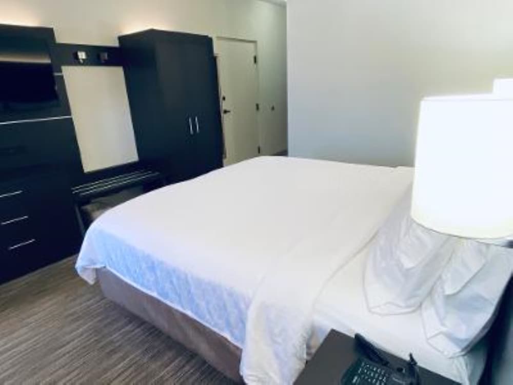 Holiday Inn Express Hotel & Suites Gadsden W Near Attalla by IHG - photo 8