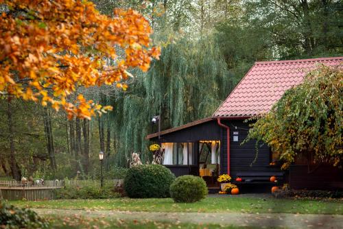 Zacisze nad Sanną pet-friendly hotel Annopol