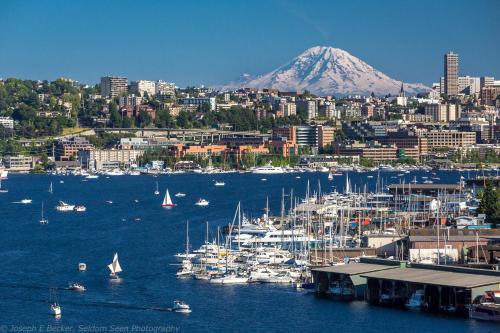 Seattle Urban Village - photo 26