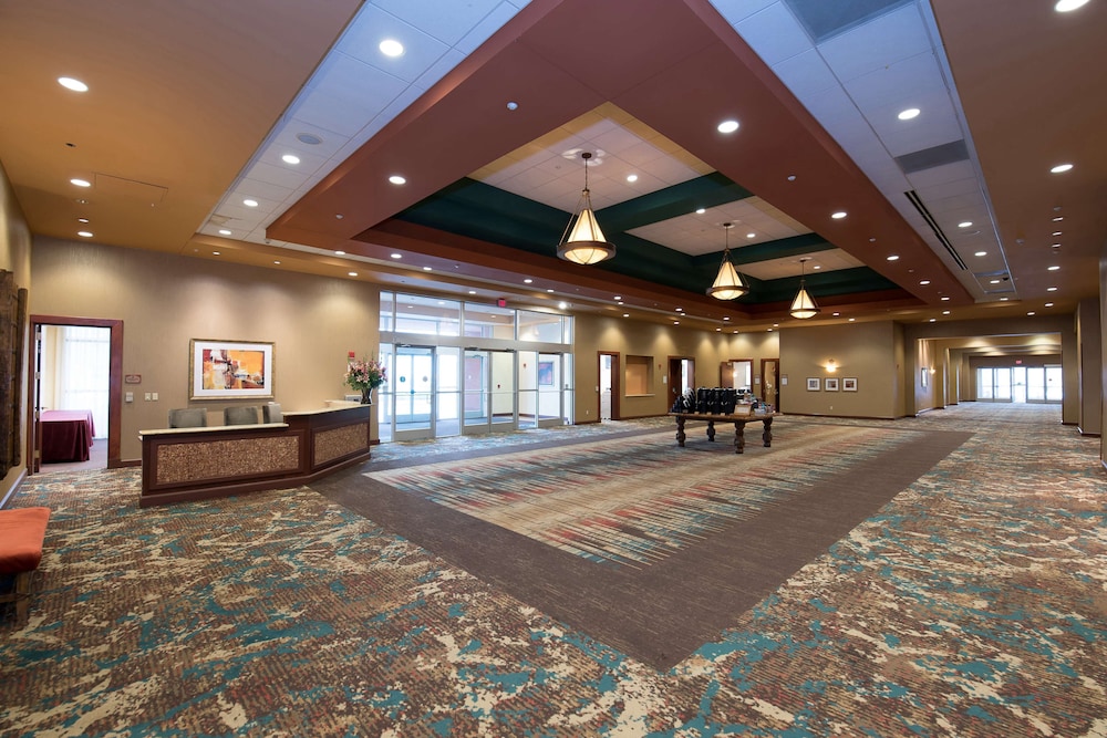 Embassy Suites by Hilton Albuquerque - photo 51