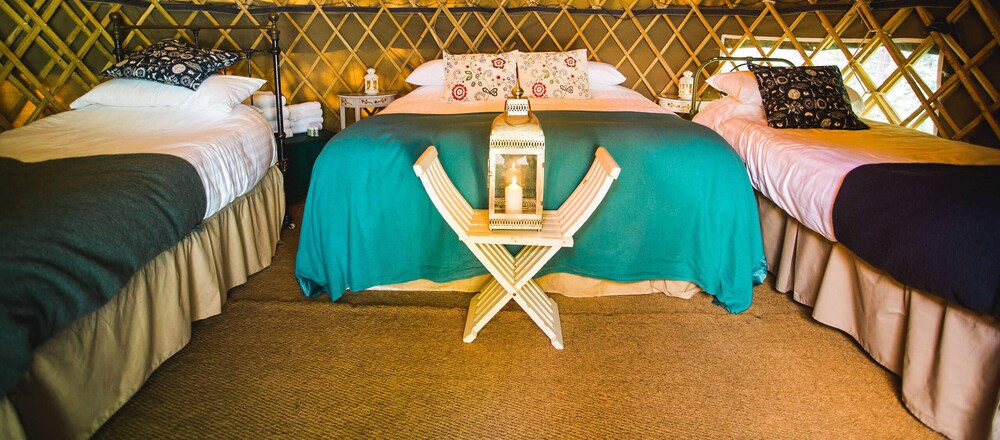 Pine Shep Hut Glamping