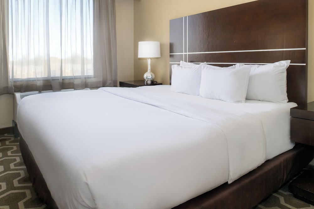 Embassy Suites by Hilton St. Louis Airport - photo 22