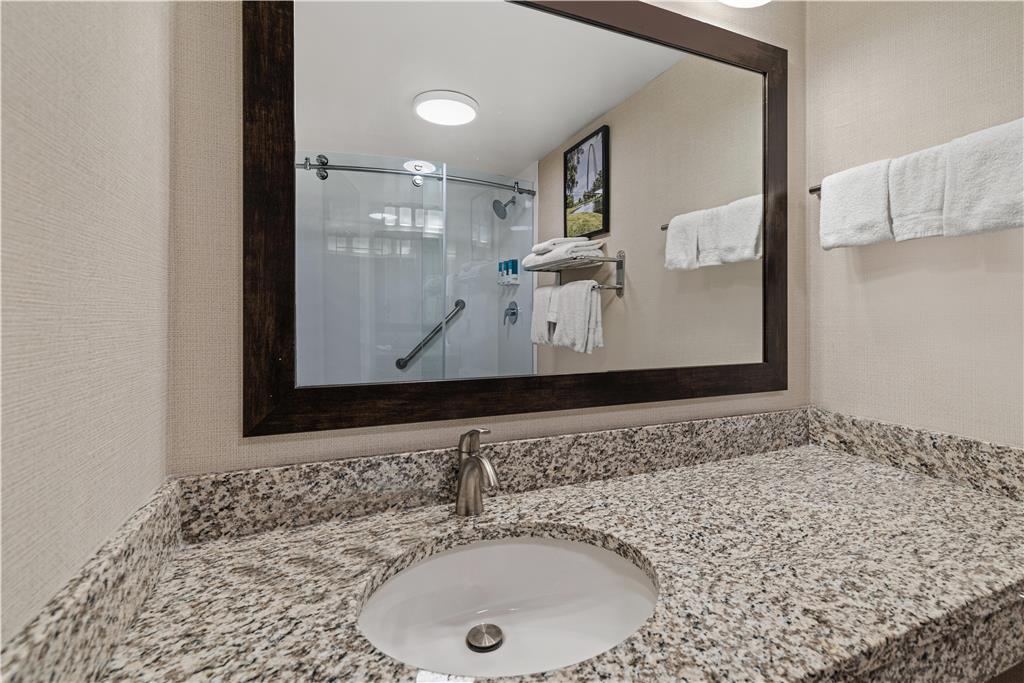 Drury Plaza Hotel St. Louis Creve Coeur - photo 38