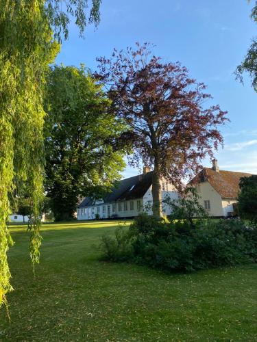 Pilemosegaard lejlighed med 2 værelser in Roskilde, Denmark